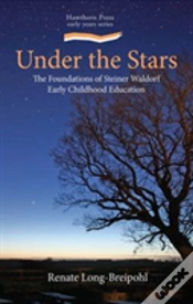 Capa do artigo Under The Stars