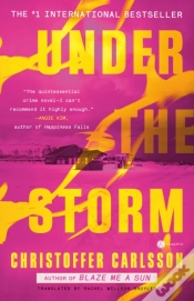 Capa do artigo Under The Storm