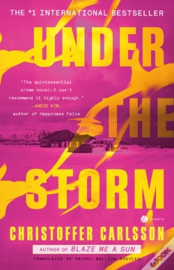 Capa do artigo Under The Storm