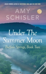 Capa do artigo Under The Summer Moon