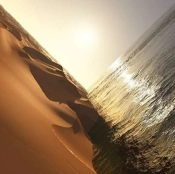 Capa do artigo Under the Sun - CD