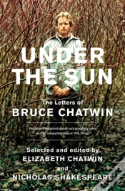 Capa do artigo Under The Sun