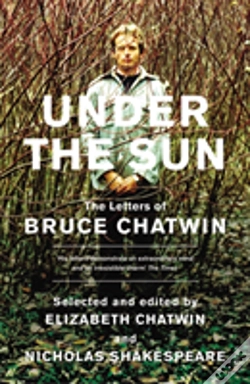 Capa do artigo Under The Sun