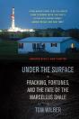Under The Surface - Preview