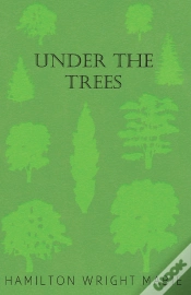 Capa do artigo Under The Trees