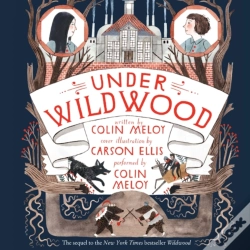 Capa do artigo Under Wildwood