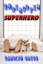 Undercover Superhero - Preview