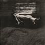 Undercurrent - Vinil - Preview