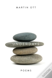 Capa do artigo Underdays