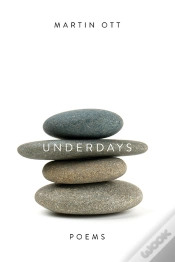 Capa do artigo Underdays