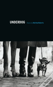 Capa do artigo Underdog