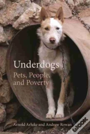 Capa do artigo Underdogs
