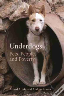 Capa do artigo Underdogs