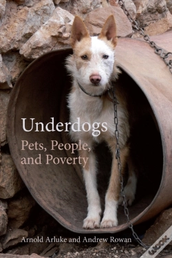 Capa do artigo Underdogs