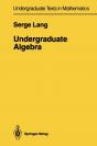 Undergraduate Algebra - Preview