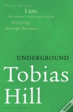 Capa do artigo Underground