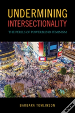 Capa do artigo Undermining Intersectionality