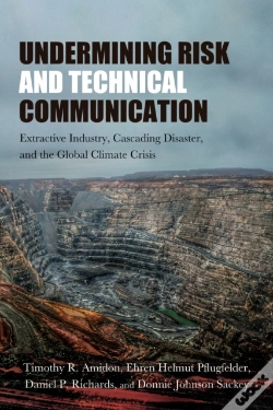 Capa do artigo Undermining Risk And Technical Communication