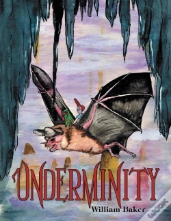 Capa do artigo Underminity