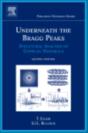 Underneath The Bragg Peaks - Preview