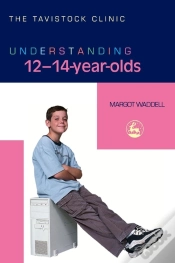 Capa do artigo Understanding 12-14-Year-Olds