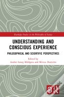Understanding And Conscious Experience