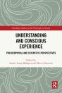 Understanding And Conscious Experience - Preview