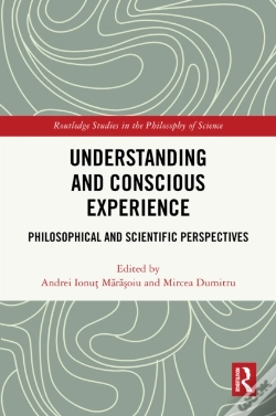 Capa do artigo Understanding And Conscious Experience