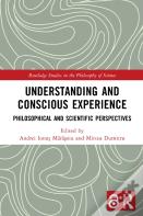 Understanding And Conscious Experience