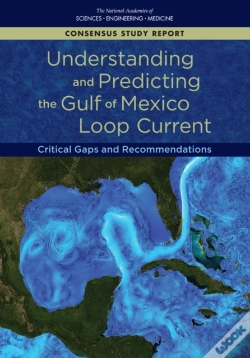 Capa do artigo Understanding And Predicting The Gulf Of Mexico Loop Current