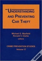 Understanding And Preventing Car Theft