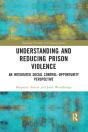 Understanding And Reducing Prison Violence - Preview