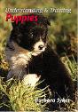 Understanding And Training Puppies - Preview