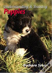 Understanding And Training Puppies