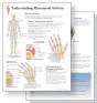 Understanding Arthritis Study Set Replacement Pads - Preview