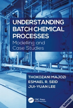 Capa do artigo Understanding Batch Chemical Processes