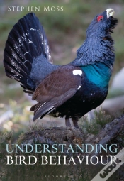 Capa do artigo Understanding Bird Behaviour