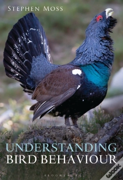 Capa do artigo Understanding Bird Behaviour