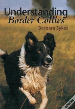 Capa do artigo Understanding Border Collies