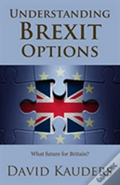Capa do artigo Understanding Brexit Options: What Future For Britain?