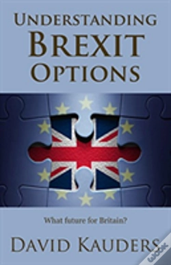 Capa do artigo Understanding Brexit Options: What Future For Britain?
