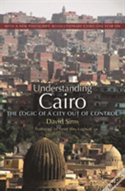 Capa do artigo Understanding Cairo