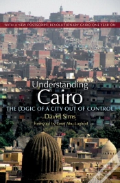Capa do artigo Understanding Cairo