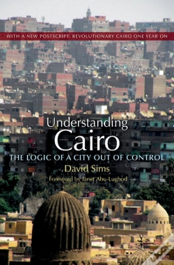 Capa do artigo Understanding Cairo