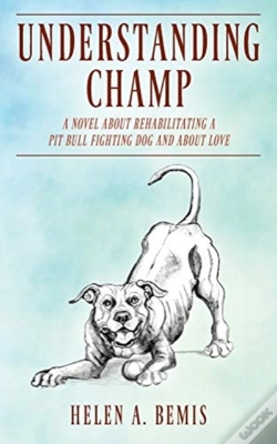 Capa do artigo Understanding Champ