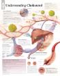 Understanding Cholesterol - Preview