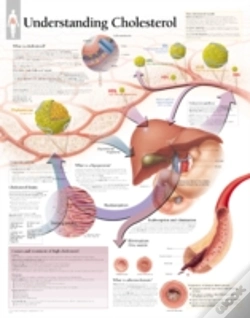 Capa do artigo Understanding Cholesterol