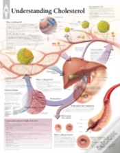 Capa do artigo Understanding Cholesterol