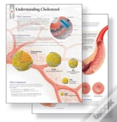 Understanding Cholesterol Study Set Replacement Pads