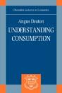 Understanding Consumption - Preview